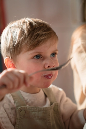 Stop Trying to Win the Dinner War. You’re Losing Anyway.