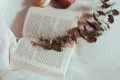 Books To Improve Parent Child Relationship: Beyond Active Listening