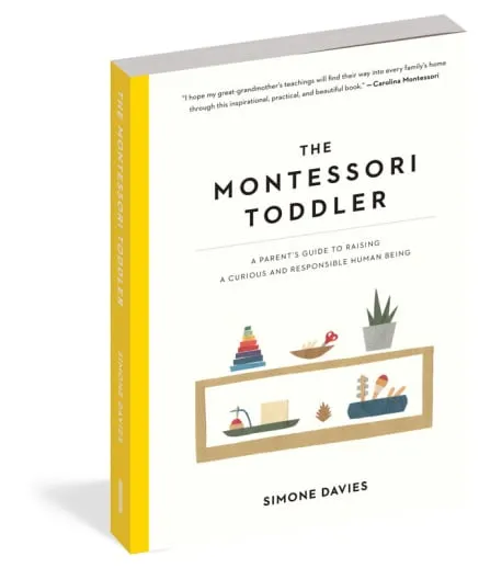 The Montessori Toddler