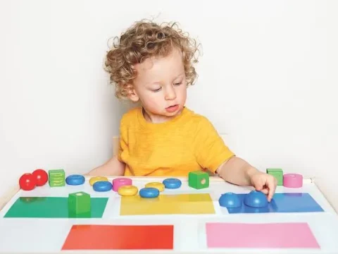 Books on Improving Child Executive Function: 3 Practical Reads for Parents